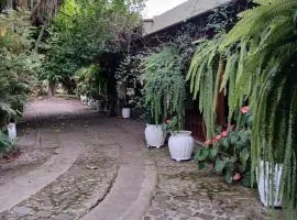 Jardín de Los Sueños Quinta San Felipe