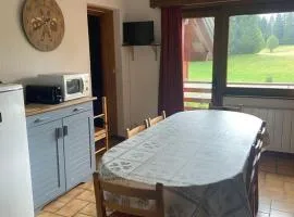 Charmant studio mezzanine au centre du village, 8 pers, proche pistes - FR-1-815-23