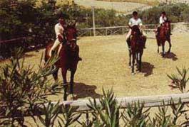 Agriturismo Fassi, hotel Monasteracéban