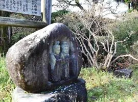 meet tree STAY - 'Asunaro'