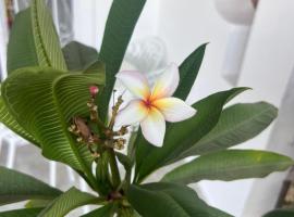 Naama Bay, hotel v destinaci Sharm El Sheikh