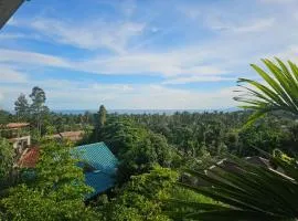 Seaview Studio Jungle