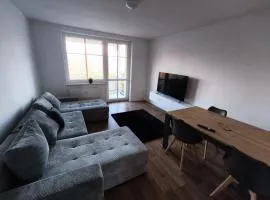 Business Apartment Chemnitz