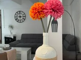 Gîte au cœur des vignes, près du canal du Midi