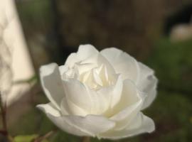 Le cocon du Bassigny, hôtel 