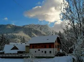 Apartments Gorski raj