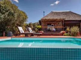 Induli Lodge - Amakhala Game Reserve