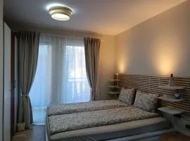 Green Line Studio Appartment Pamporovo