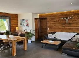 Duplex 4★ au centre de La Clusaz, 8 pers, 3 chambres - FR-1-304-234