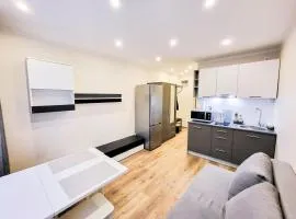 Furnished apartment with a very good location in Kristiine