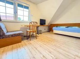 Hotelkamer voor één persoon in Marx 33-18