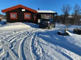 Traditional Cabin In Nøsterbølia