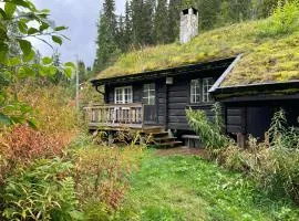 Traditionel Bjælkehytte Ved Seljordsvannet-Søen