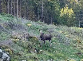 Charming And Isolated House In Beautiful Surroundings
