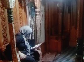 Mombay group of House boat premium, Hotel am Strand in Srinagar