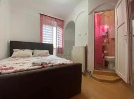 Apartmani Milivojevic