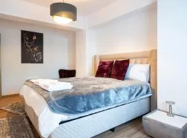 Apartament de închiriat Accommodation nr 12