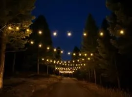 Pinebox at Evergreen Modern 20Acres -Serene-Creek