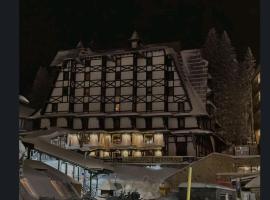 Vila Gorica - Planinska kuca, ξενοδοχείο σε Bukorovac