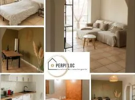 Grand appartement 2 chambres avec wifi