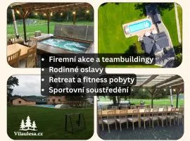 Vila u lesa - Mikulovice