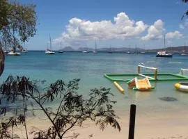 Studio Papaye - confort et calme près des plages