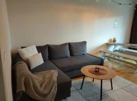 Kaksio lähellä keskustaa，位于伊萨尔米的酒店