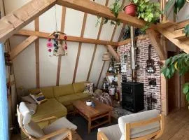 Cozy frame house in the wood