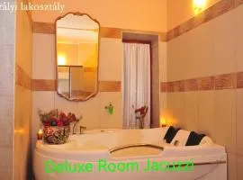 Free wellness and saunapark Castle Resort Spa