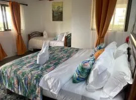 Baz-Art Eco Guest House