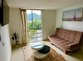 Acogedor y elegante apto central Urban