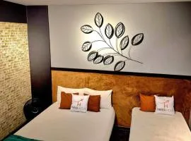 studio estilo industrial Centro