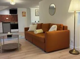 2 chambre appartement avec vue sur la cathédrale - Coeur d'Angers