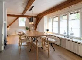 Little Nest -ganzes Loft Nähe Aarau,zwischen Seen und Schlössern, Hund