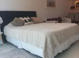 Studio ideal 3 huéspedes a un paso de palmas