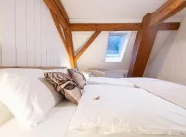 Little Nest -ganzes Loft Nähe Aarau,zwischen Seen und Schlössern, Hund