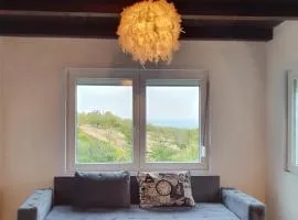 Pure nature lovely view house