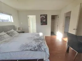 Epsom House close to CBD