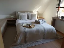 Homestorys Nature Resort