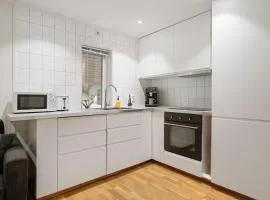 Northern Lights View Beautiful Berg