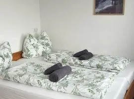 Danner Familien-Ferienwohnungen - Ruhige Lage, 650 m zum Attersee & zentral in Schörfling