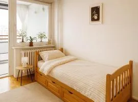 Sunset View Belgrade