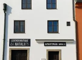 Apartment Široká 52