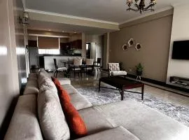 Urban 2 Bedroom Serviced Apartment in Nakasero