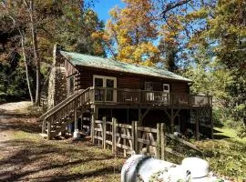 Cozy Mountain Cabin with Fire Pit and Forest Views near Downtown Black Mountain, NC