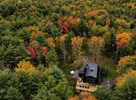 Incredible Secluded Cabin with Barrel Sauna, Fire Pit and Deck for an Unforgettable Getaway in the Finger Lakes in New York