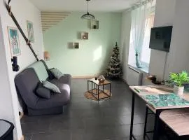 Très bel appartement au cœur des Vosges