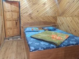 Hotel Priyanshu, hotel en Madheso