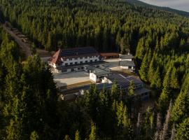 OzonWellness, hotel in Harghita-Băi