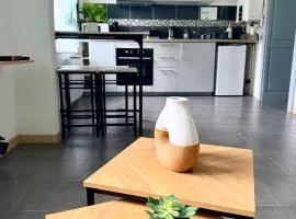 Très bel appartement au cœur des Vosges